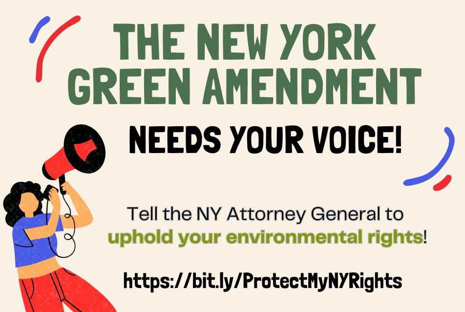 New York’s Green Amendment Needs Your Voice