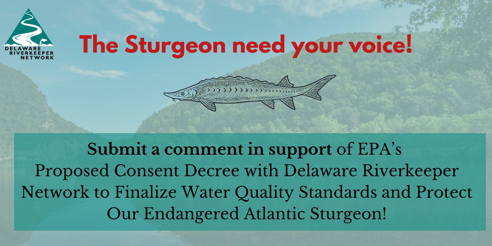 Support EPA’s Consent Decree to Protect Our Atlantic Sturgeon