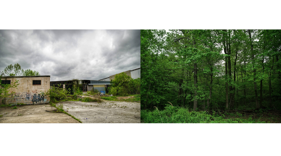 Demand More Accessible Public Comment Process for Bishop Tube Site Remediation