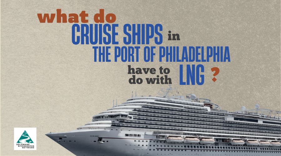 Cruise Ships and LNG – Webinar