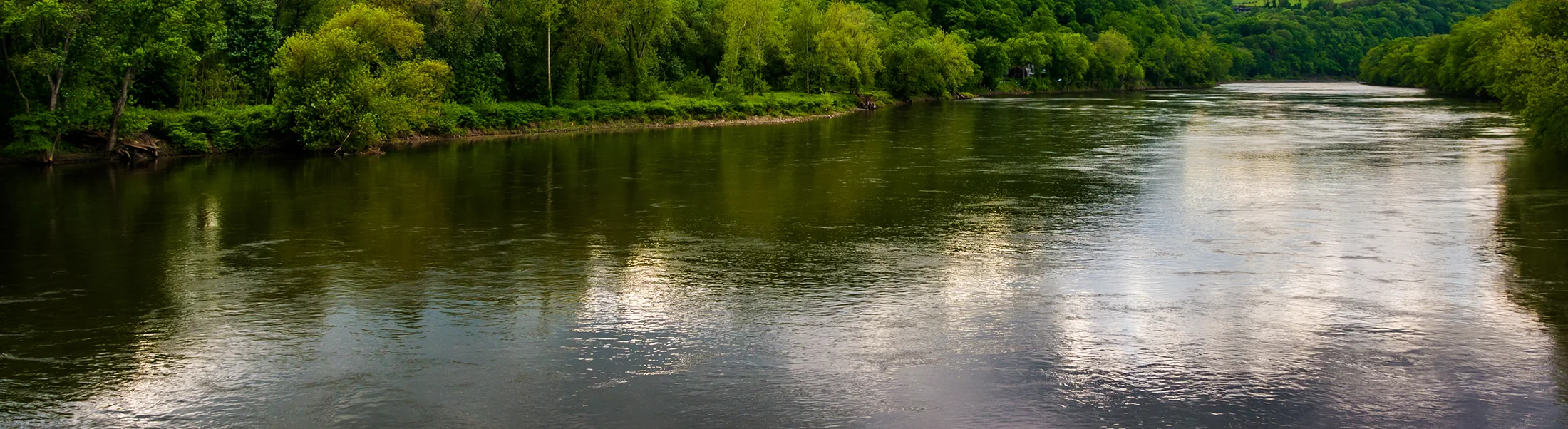 Delaware River with trees