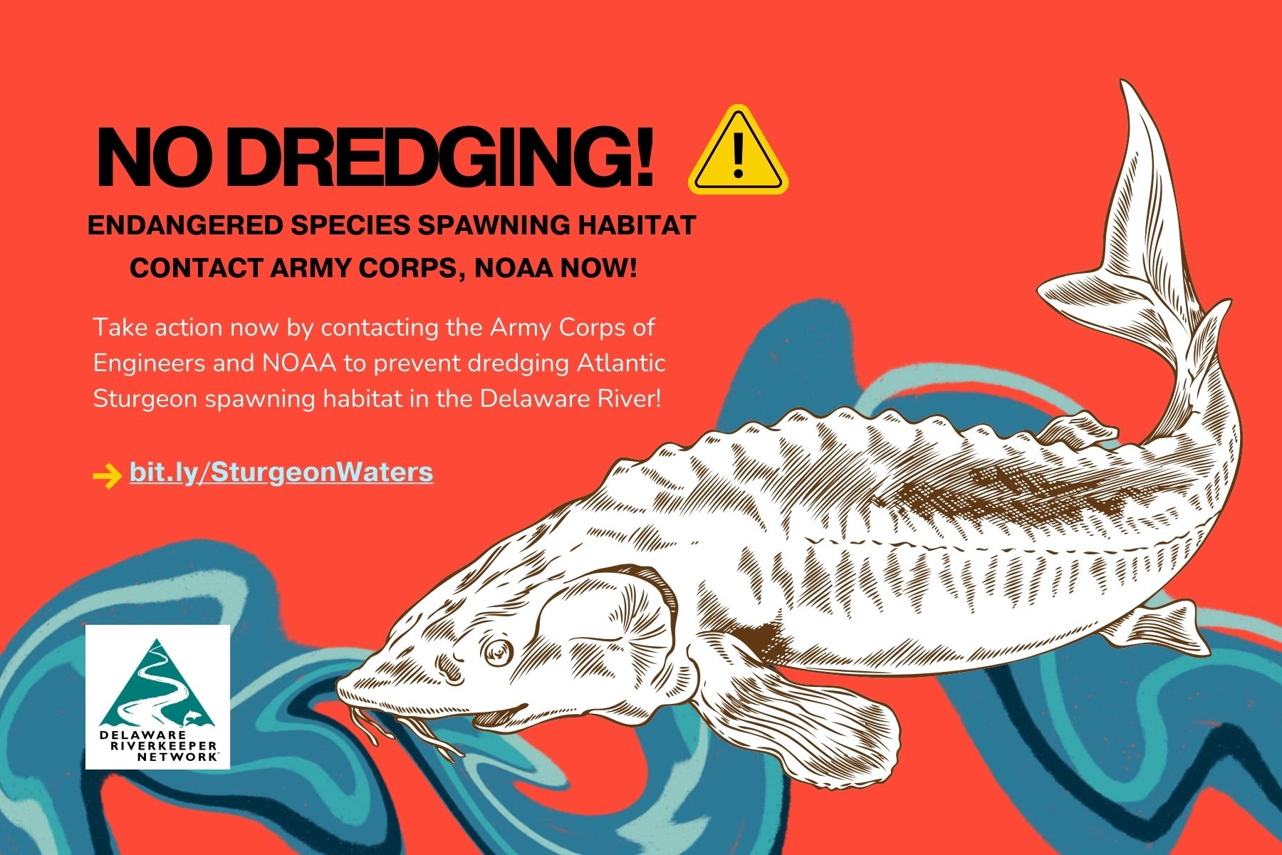 Stop Dredging Atlantic Sturgeon Spawning Habitat in the Delaware River